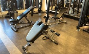 vipfit gym 7