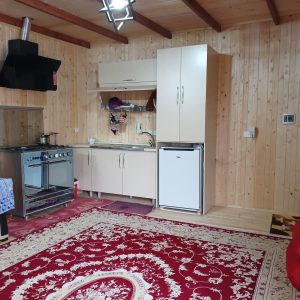 69463 photo10601564377