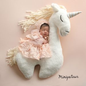 ‏مینیاتور ‏عکاسی ‏بارداری ‏و ‏نوزاد ‏و ‏کودک ‏در ‏تهران ‏پیروزی 10
