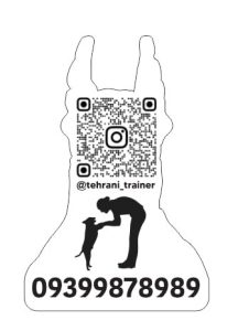‏پت ‏مربی ‏سگ ‏تحصصی ‏در ‏صادقیه 13 1