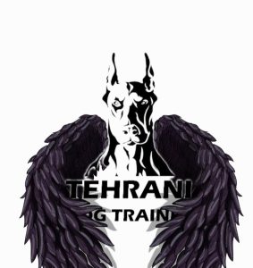 ‏پت ‏مربی ‏سگ ‏تحصصی ‏در ‏صادقیه 16 1