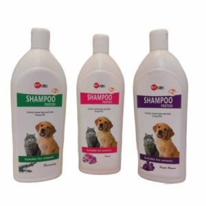 162977 York daily shampoo 600x600 1 460x460 4