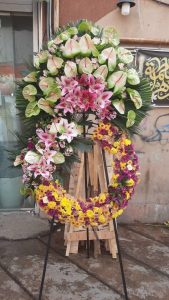 WhatsApp Image 2025 03 05 at 15.32.46 1 1