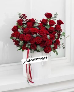 WhatsApp Image 2025 03 05 at 15.32.55 2