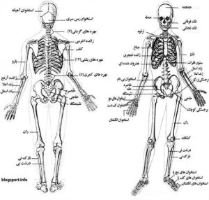 WhatsApp Image 2025 03 15 at 12.33.59